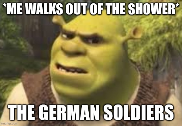 The shampoo didn't smell very good. | *ME WALKS OUT OF THE SHOWER*; THE GERMAN SOLDIERS | image tagged in confused shrek | made w/ Imgflip meme maker