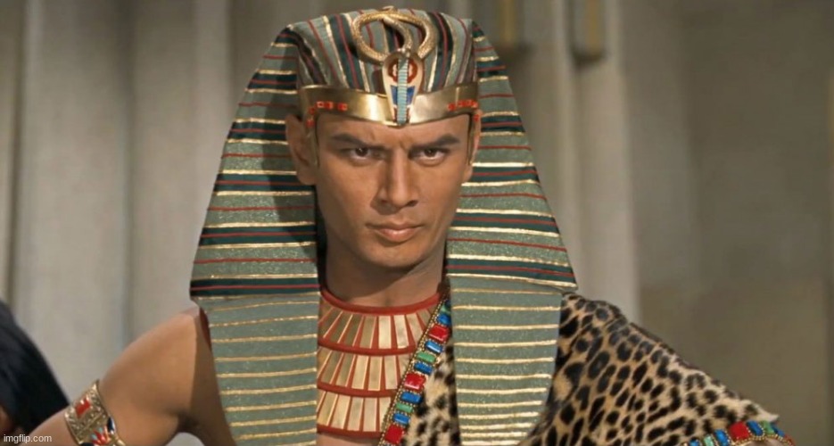 pharoah | image tagged in pharoah | made w/ Imgflip meme maker