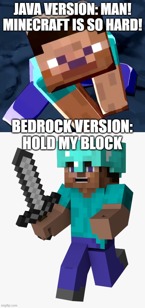 Bedrock gets the short end of the stick on just about everything. | JAVA VERSION: MAN! MINECRAFT IS SO HARD! BEDROCK VERSION: HOLD MY BLOCK | image tagged in minecraft,java,bedrock,steve | made w/ Imgflip meme maker
