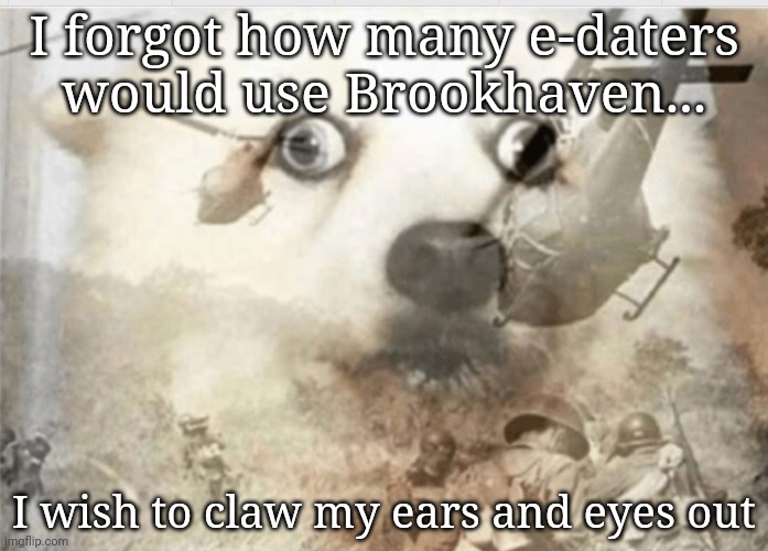 Meanwhile, made a cursed looking ww2 avatar and a Warhammer avatar | I forgot how many e-daters would use Brookhaven... I wish to claw my ears and eyes out | image tagged in ptsd dog | made w/ Imgflip meme maker