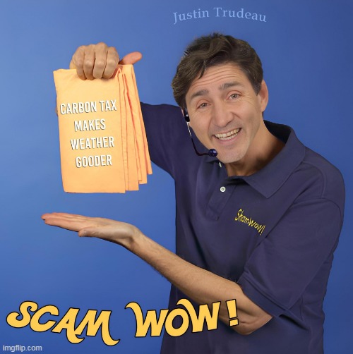 SCAM WOW! | image tagged in scam wow | made w/ Imgflip meme maker