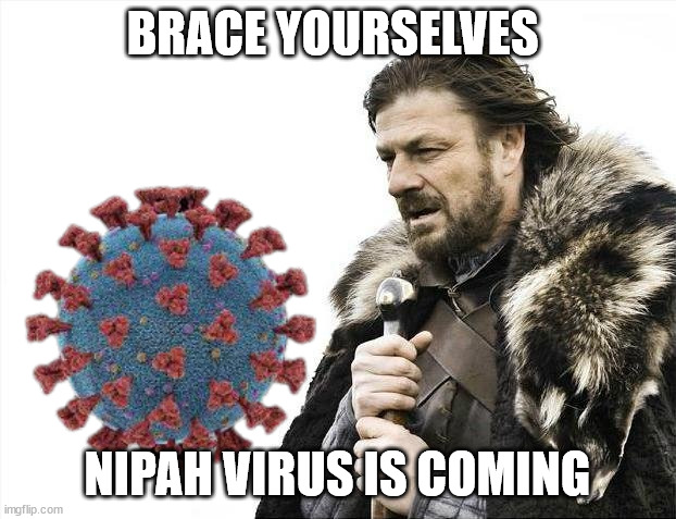 nipah meme | BRACE YOURSELVES; NIPAH VIRUS IS COMING | image tagged in memes,brace yourselves x is coming | made w/ Imgflip meme maker