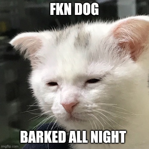 I'm awake, but at what cost? | FKN DOG; BARKED ALL NIGHT | image tagged in i'm awake but at what cost | made w/ Imgflip meme maker