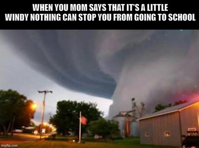 school | WHEN YOU MOM SAYS THAT IT'S A LITTLE WINDY NOTHING CAN STOP YOU FROM GOING TO SCHOOL | image tagged in school,memes,funny,relatable memes,weather | made w/ Imgflip meme maker