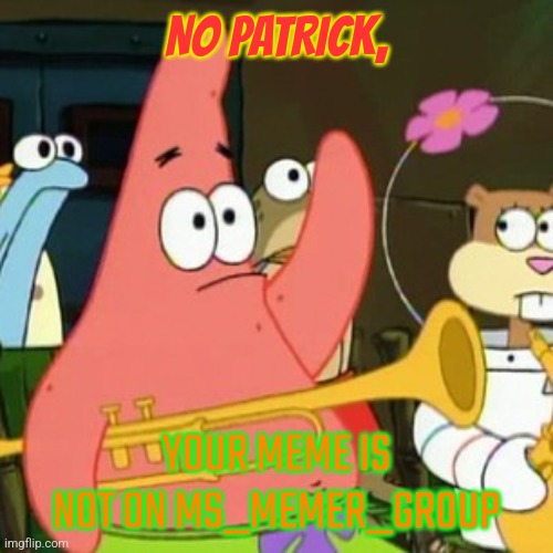 No, Patrick, this isn't MS_memer_group | NO PATRICK, YOUR MEME IS NOT ON MS_MEMER_GROUP | image tagged in memes,no patrick | made w/ Imgflip meme maker