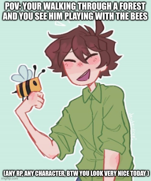 Dream smp rp | POV: YOUR WALKING THROUGH A FOREST AND YOU SEE HIM PLAYING WITH THE BEES; (ANY RP, ANY CHARACTER, BTW YOU LOOK VERY NICE TODAY ) | image tagged in role play | made w/ Imgflip meme maker