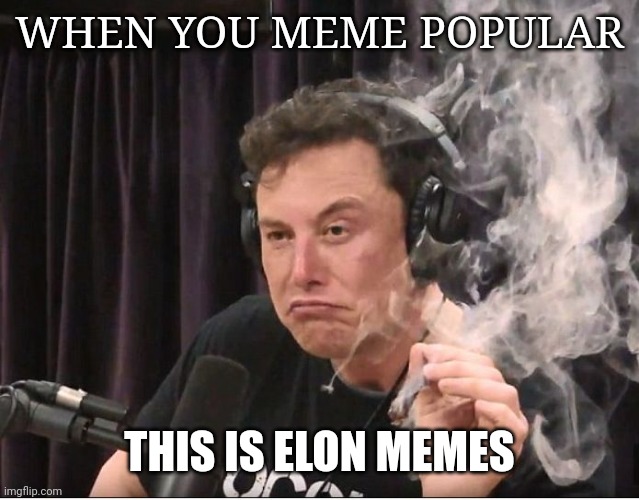 when you popular | WHEN YOU MEME POPULAR; THIS IS ELON MEMES | image tagged in elon musk smoking a joint | made w/ Imgflip meme maker