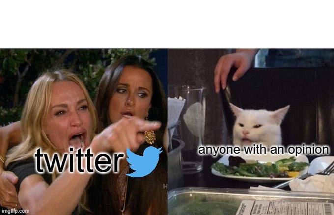so true | anyone with an opinion; twitter | image tagged in memes,woman yelling at cat | made w/ Imgflip meme maker