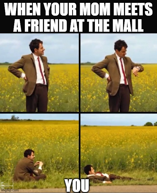 when you mom meets a friend at the mall | WHEN YOUR MOM MEETS A FRIEND AT THE MALL; YOU | image tagged in mr bean waiting,funny,relatable,mom,waiting,akward moment seal | made w/ Imgflip meme maker