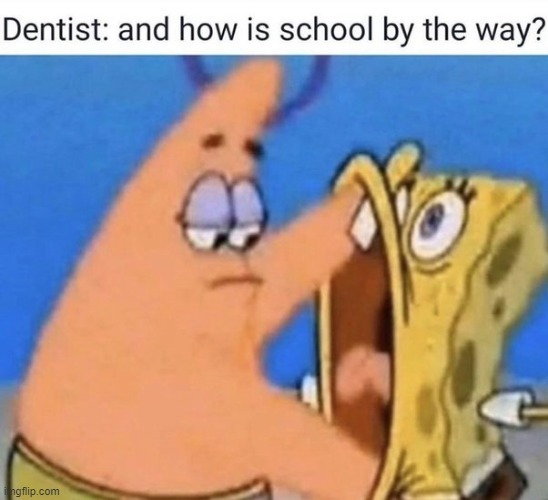 image tagged in memes,funny | made w/ Imgflip meme maker