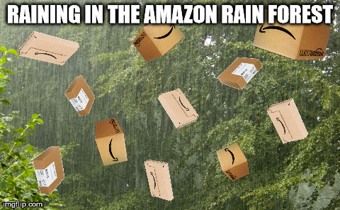 Raining in the "Amazon" | RAINING IN THE AMAZON RAIN FOREST | image tagged in memes | made w/ Imgflip meme maker