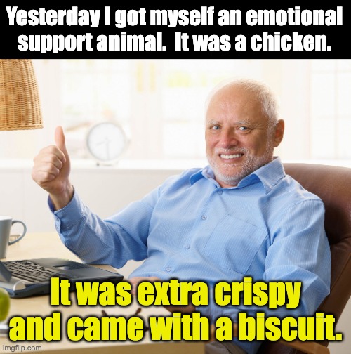 Dad joke | Yesterday I got myself an emotional support animal.  It was a chicken. It was extra crispy and came with a biscuit. | image tagged in hide the pain harold | made w/ Imgflip meme maker