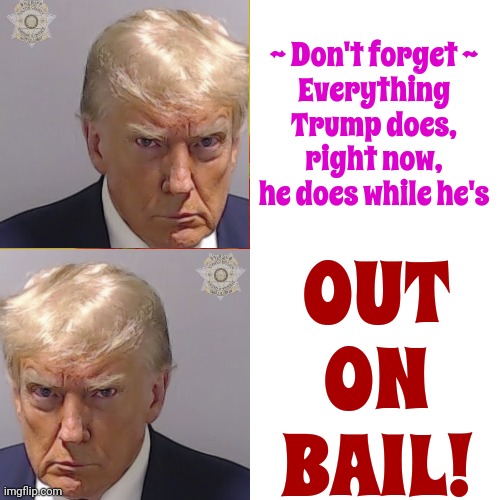 Because Trump's Been Arrested FOUR Times | ~ Don't forget ~
Everything Trump does, right now, he does while he's; OUT ON BAIL! | image tagged in memes,drake hotline bling,lock him up,scumbag trump,inmate 45,inmate trump | made w/ Imgflip meme maker