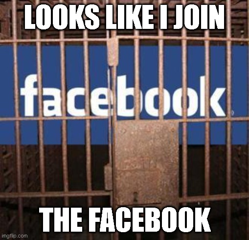 pov: you sign up facebook | LOOKS LIKE I JOIN; THE FACEBOOK | image tagged in facebook jail | made w/ Imgflip meme maker