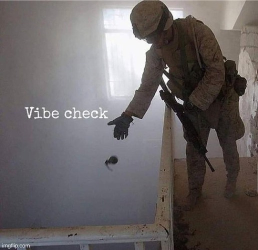 vibe check! | image tagged in vibe check grenade | made w/ Imgflip meme maker