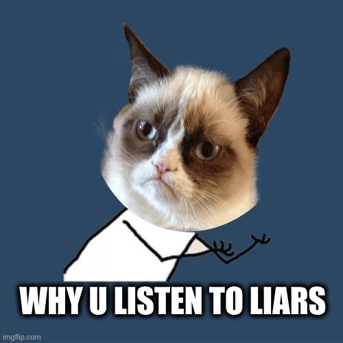 Grumpy YU NO | WHY U LISTEN TO LIARS | image tagged in grumpy yu no,grumpy cat,y u no,liars,no,just stop | made w/ Imgflip meme maker
