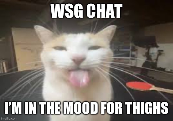 Cat | WSG CHAT; I’M IN THE MOOD FOR THIGHS | image tagged in cat | made w/ Imgflip meme maker