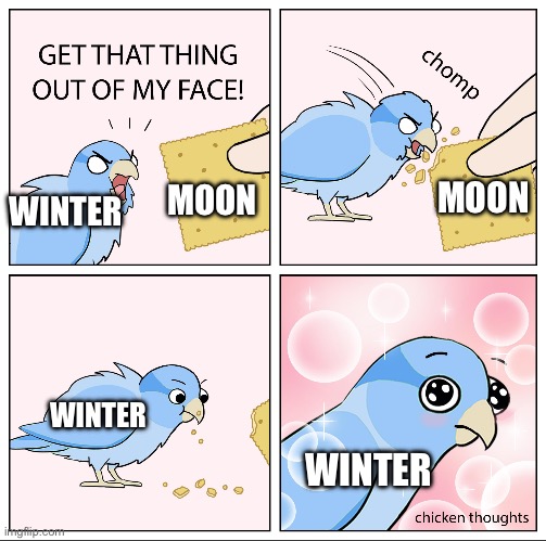 Bird Cracker | MOON; WINTER; MOON; WINTER; WINTER | image tagged in bird cracker | made w/ Imgflip meme maker