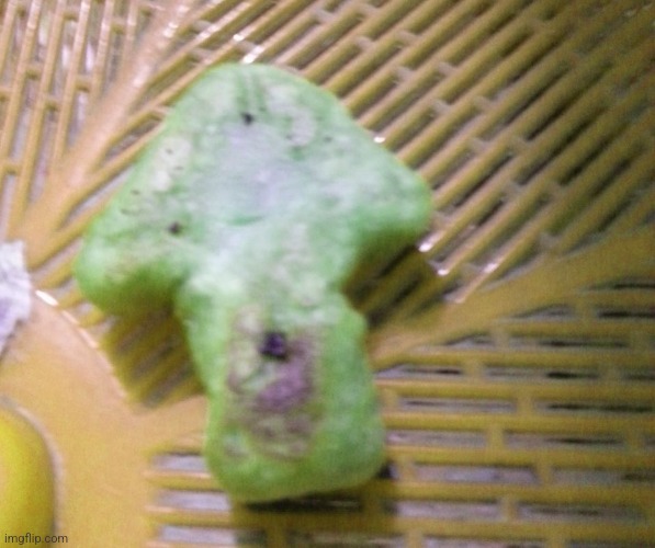 Upvote cookie | image tagged in upvote cookie | made w/ Imgflip meme maker