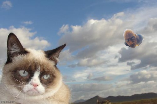 When You See a cat. | image tagged in memes,grumpy cat sky,grumpy cat | made w/ Imgflip meme maker