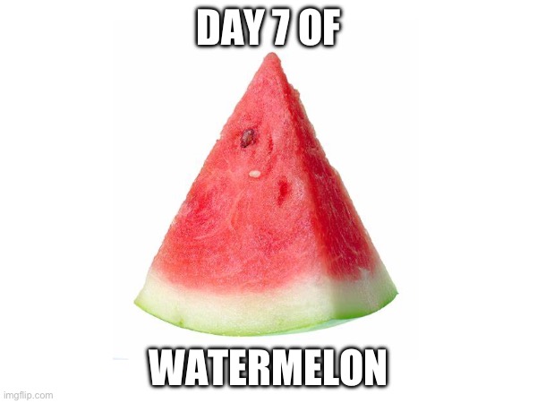 :00 | DAY 7 OF; WATERMELON | image tagged in watermelon | made w/ Imgflip meme maker