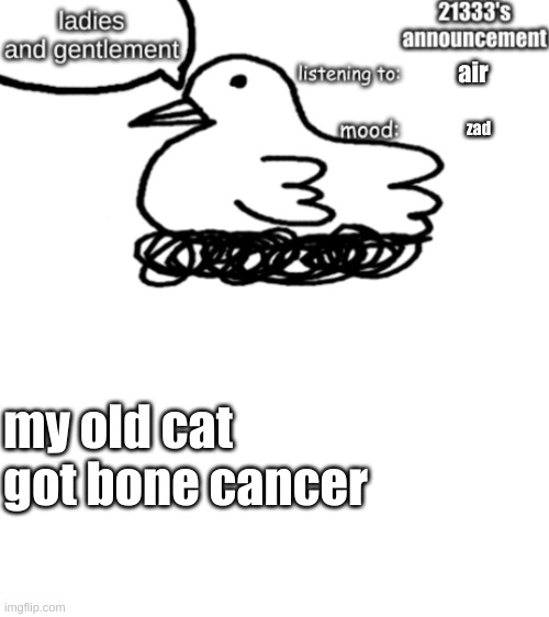 21333's announcement | air; zad; my old cat got bone cancer | image tagged in 21333's announcement | made w/ Imgflip meme maker