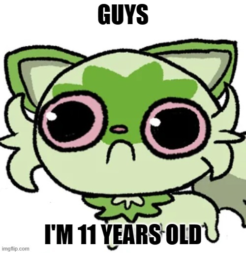 weed cat | GUYS; I'M 11 YEARS OLD | image tagged in weed cat | made w/ Imgflip meme maker