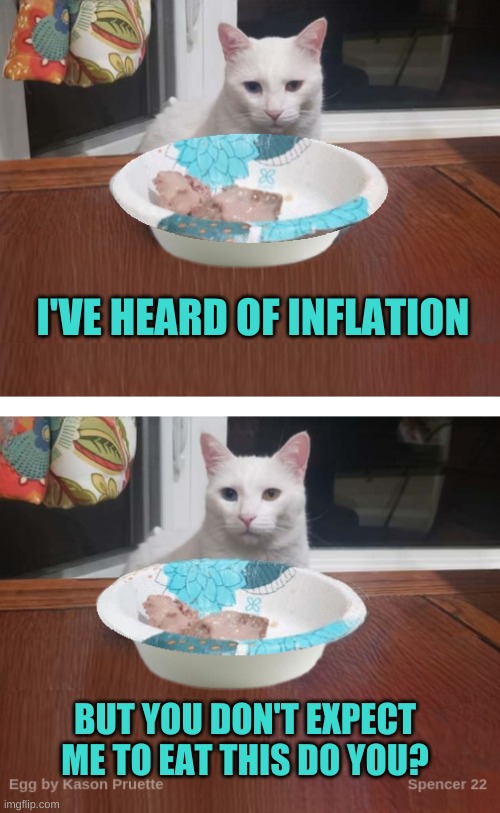 Egg the Cat | I'VE HEARD OF INFLATION; BUT YOU DON'T EXPECT ME TO EAT THIS DO YOU? | image tagged in egg the cat,smudge,inflation,nasty,ewww | made w/ Imgflip meme maker