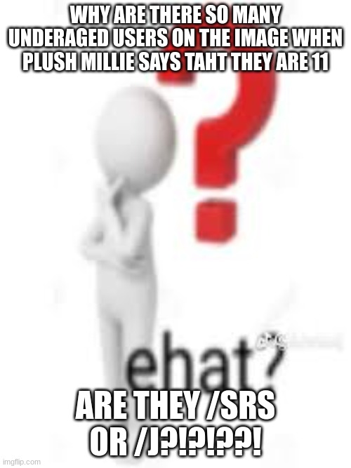 WHY ARE THERE SO MANY UNDERAGED USERS ON THE IMAGE WHEN PLUSH MILLIE SAYS TAHT THEY ARE 11; ARE THEY /SRS OR /J?!?!??! | image tagged in ehat | made w/ Imgflip meme maker