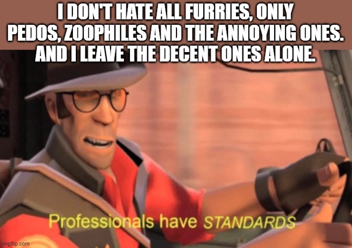I'm a different type of anti-furry | I DON'T HATE ALL FURRIES, ONLY PEDOS, ZOOPHILES AND THE ANNOYING ONES.
AND I LEAVE THE DECENT ONES ALONE. | image tagged in professionals have standards,furry,anti furry | made w/ Imgflip meme maker