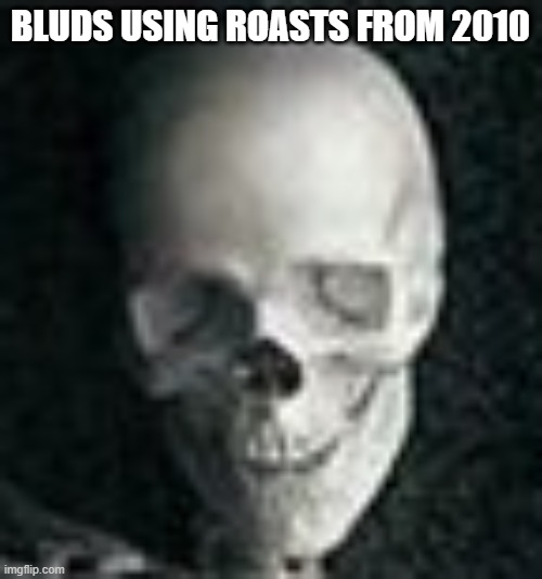 Skull | BLUDS USING ROASTS FROM 2010 | image tagged in skull | made w/ Imgflip meme maker