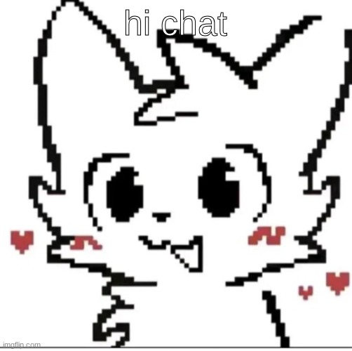 silly cat | hi chat | image tagged in silly cat | made w/ Imgflip meme maker