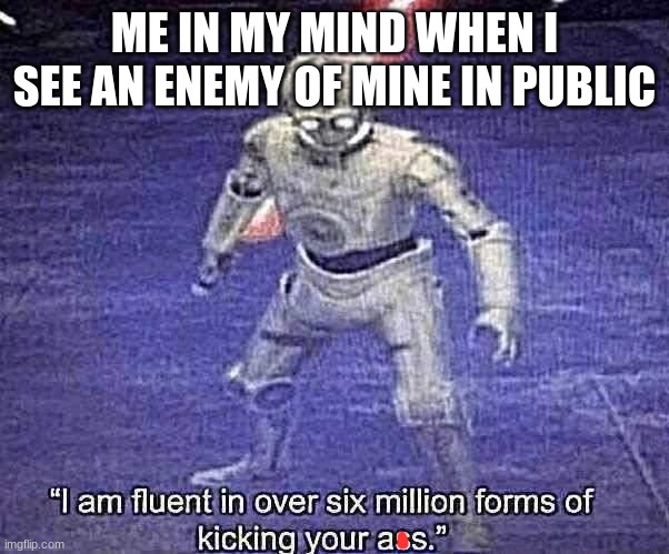 I am fluent in over six million forms of kicking your ass | ME IN MY MIND WHEN I SEE AN ENEMY OF MINE IN PUBLIC | image tagged in i am fluent in over six million forms of kicking your ass,memes | made w/ Imgflip meme maker