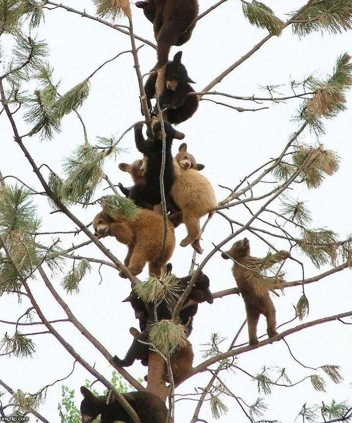 image tagged in awesome | made w/ Imgflip meme maker