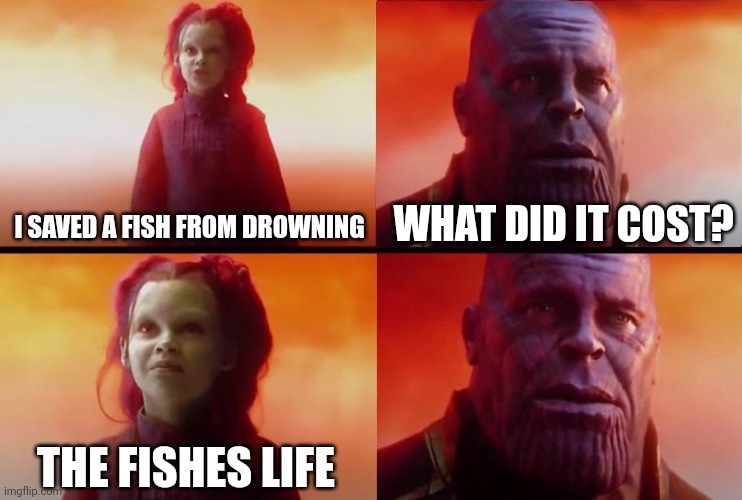 What did it cost? | I SAVED A FISH FROM DROWNING WHAT DID IT COST? THE FISHES LIFE | image tagged in what did it cost | made w/ Imgflip meme maker