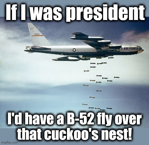 If I was president I'd have a B-52 fly over
that cuckoo's nest! | made w/ Imgflip meme maker