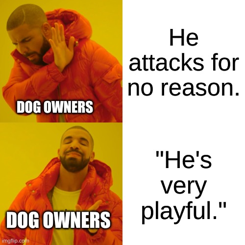 Bruh they be rabid asf and they know it | He attacks for no reason. DOG OWNERS; "He's very playful."; DOG OWNERS | image tagged in memes,drake hotline bling | made w/ Imgflip meme maker