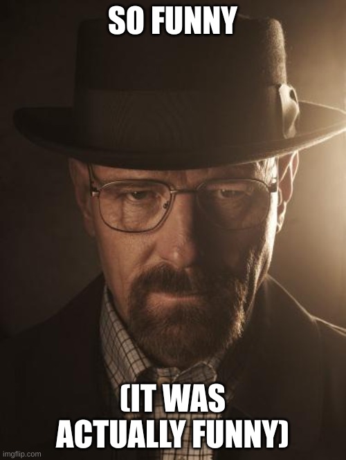 Walter White | SO FUNNY (IT WAS ACTUALLY FUNNY) | image tagged in walter white | made w/ Imgflip meme maker