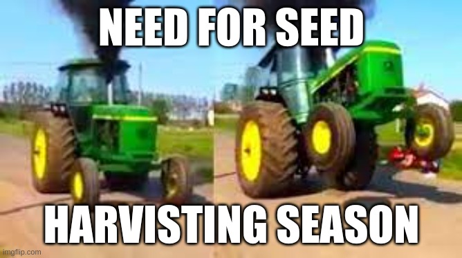 Need for seed | NEED FOR SEED; HARVESTING SEASON | image tagged in wtf | made w/ Imgflip meme maker