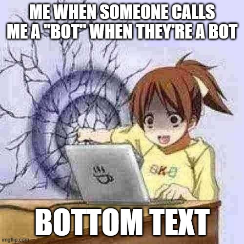Anime wall punch | ME WHEN SOMEONE CALLS ME A "BOT" WHEN THEY'RE A BOT; BOTTOM TEXT | image tagged in anime wall punch | made w/ Imgflip meme maker