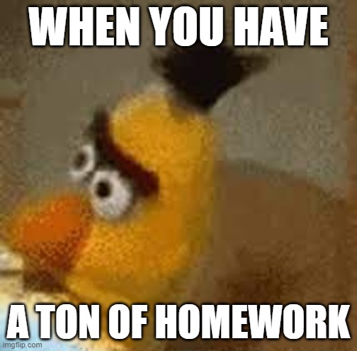 WHEN YOU HAVE; A TON OF HOMEWORK | made w/ Imgflip meme maker