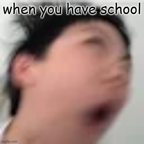 when you have school | made w/ Imgflip meme maker