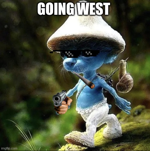 Blue Smurf Cat | GOING WEST | image tagged in blue smurf cat | made w/ Imgflip meme maker