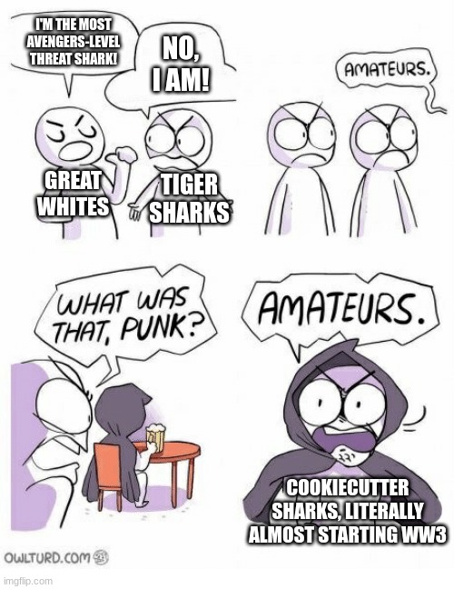 Full story in the comments-it's a doozy. | I'M THE MOST AVENGERS-LEVEL THREAT SHARK! NO, I AM! GREAT WHITES; TIGER SHARKS; COOKIECUTTER SHARKS, LITERALLY ALMOST STARTING WW3 | image tagged in amateurs,shark | made w/ Imgflip meme maker