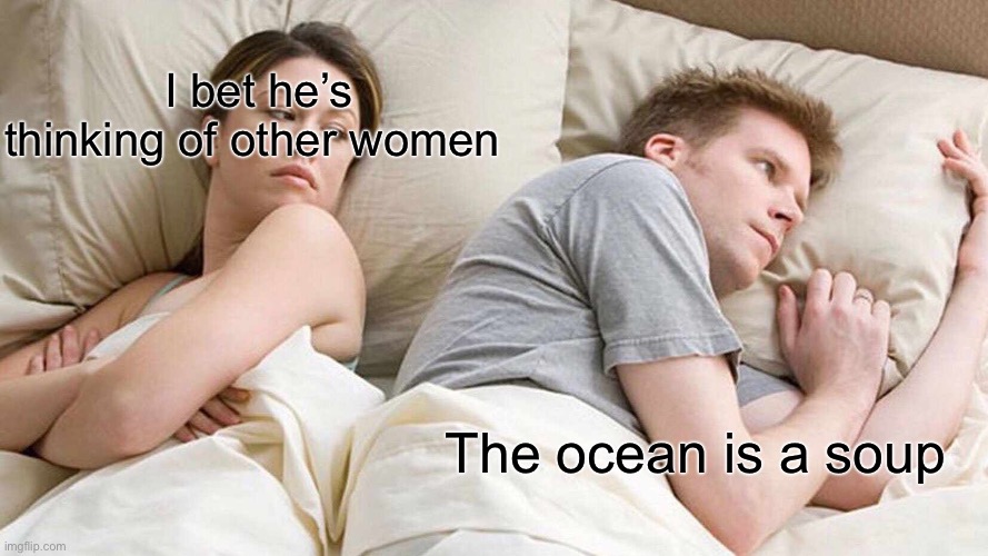 I Bet He's Thinking About Other Women Meme | I bet he’s thinking of other women; The ocean is a soup | image tagged in memes,i bet he's thinking about other women | made w/ Imgflip meme maker