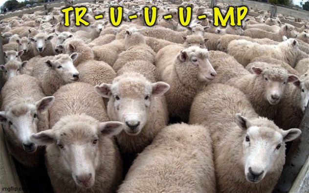 sheeple | TR - U - U - U - MP | image tagged in sheeple | made w/ Imgflip meme maker