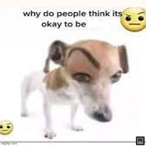 why do people think it's okay to be x | image tagged in why do people think it's okay to be x | made w/ Imgflip meme maker