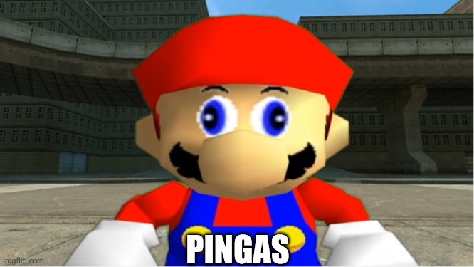 SMG4 Mario derp reaction | PINGAS | image tagged in smg4 mario derp reaction | made w/ Imgflip meme maker