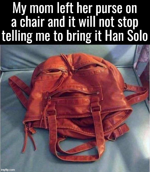 My mom left her purse on a chair and it will not stop telling me to bring it Han Solo | image tagged in starwars | made w/ Imgflip meme maker