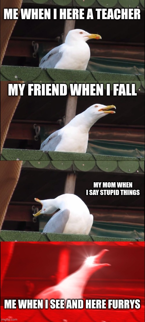 Inhaling Seagull | ME WHEN I HERE A TEACHER; MY FRIEND WHEN I FALL; MY MOM WHEN I SAY STUPID THINGS; ME WHEN I SEE AND HERE FURRYS | image tagged in memes,inhaling seagull | made w/ Imgflip meme maker